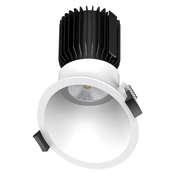 SPOTLIGHT PROFESIONAL